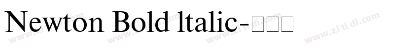 Newton Bold ltalic字体转换